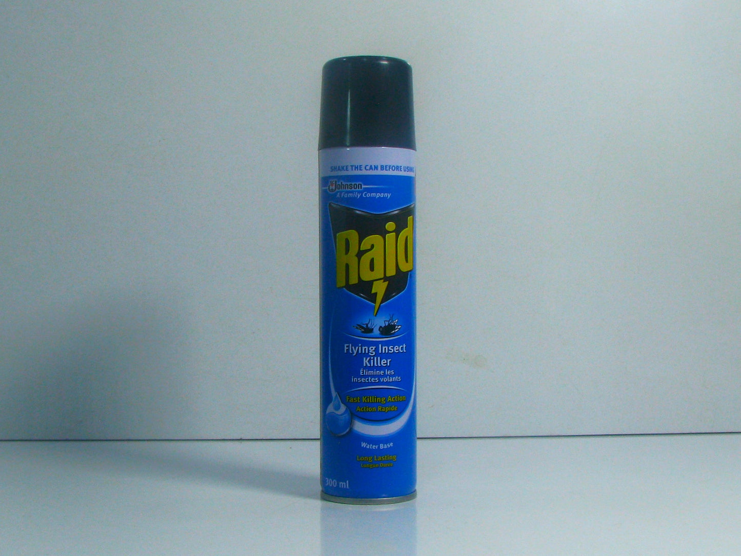 Raid Nonflying Insecticide 330