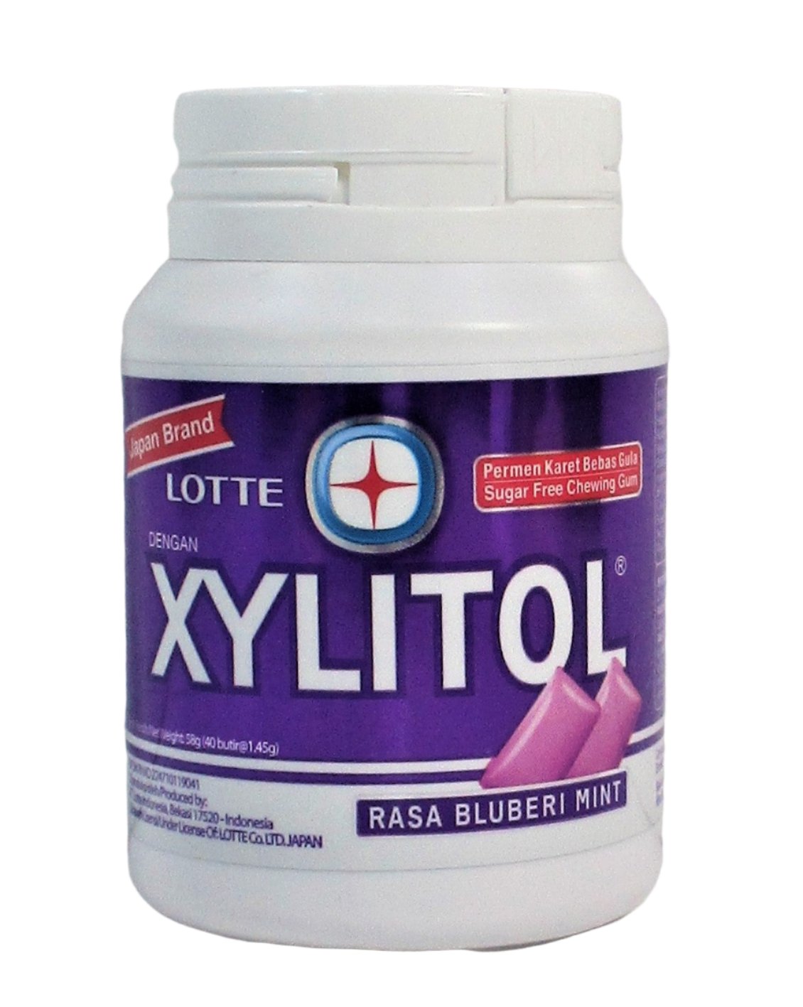 Lotte Xylitol Bluebery Gum 58G
