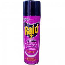 Raid Insecticide Spray 500Ml