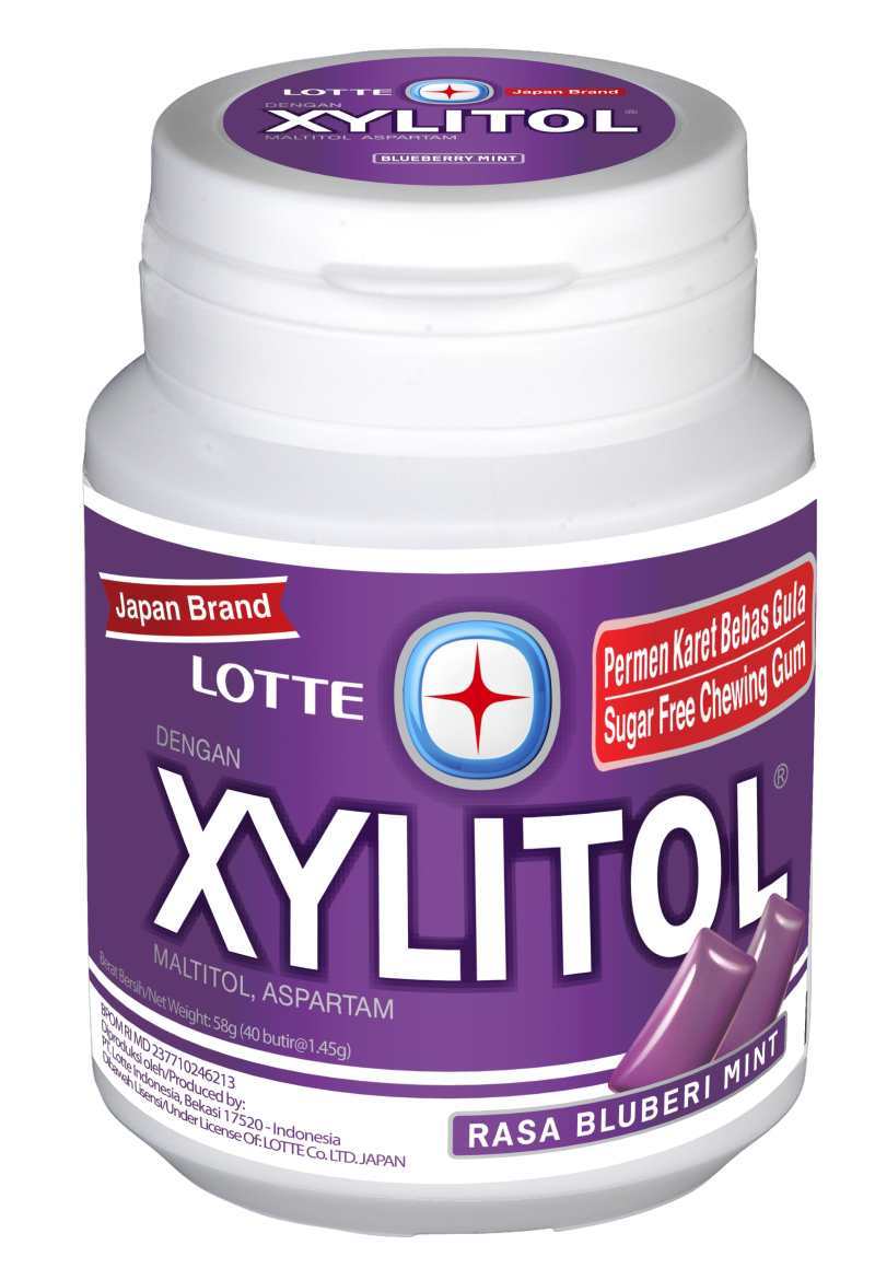 Lotte Xylitol Bluberi Mint 1.4