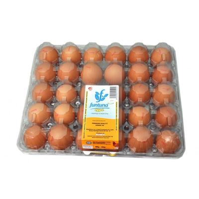 Funtuna Eggs By 30