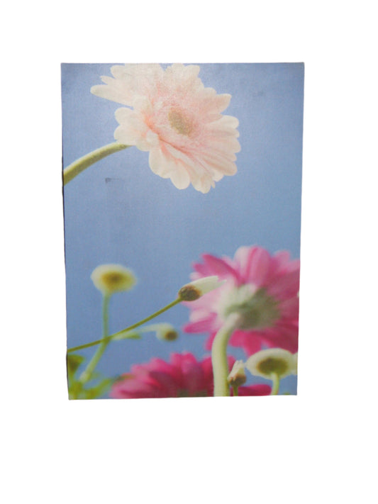 3D Painting B/S